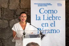 Descripción de la imagen