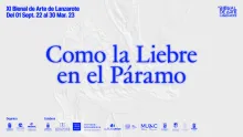 Descripción de la imagen
