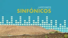 Descripción de la imagen